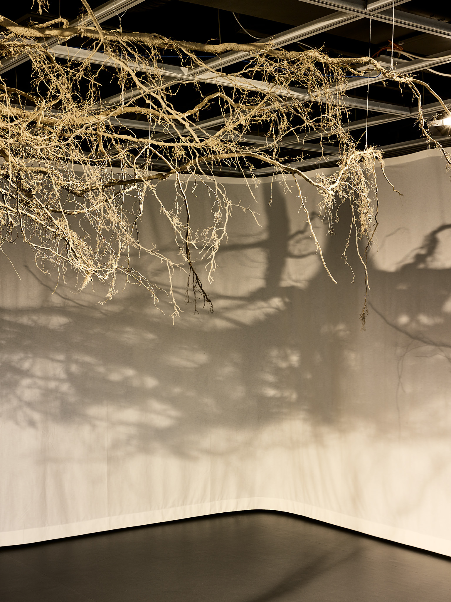 LIVE MATTER - Design Vegetal